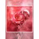 CAROL CAVALARIS COLLECTION Heart of a Rose